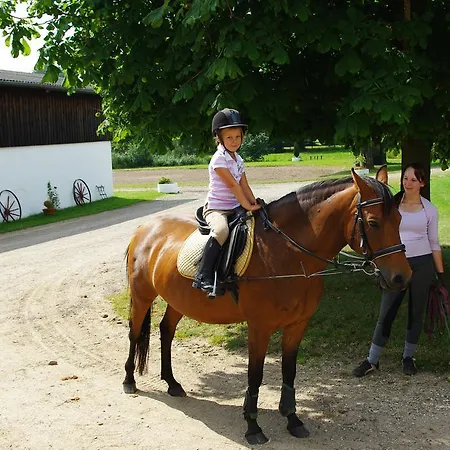 Moorberghof 住宿加早餐酒店 Sagau